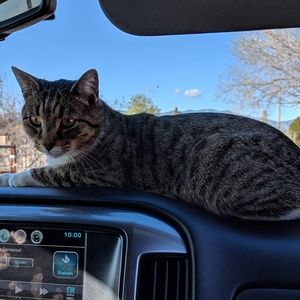 Meet your Posher, Kians